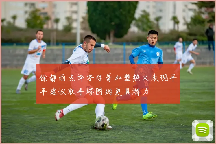 徐静雨点评字母哥加盟热火表现平平建议联手塔图姆更具潜力