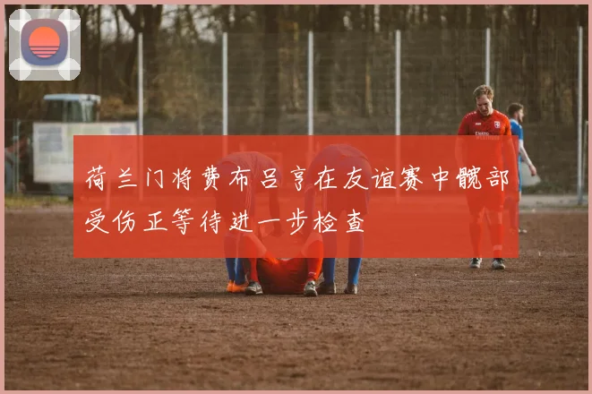荷兰门将费布吕亨在友谊赛中髋部受伤正等待进一步检查